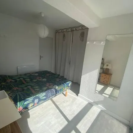 Apartament Au Pied De La Saint-Cyprien (Pyrenees-Orientales)